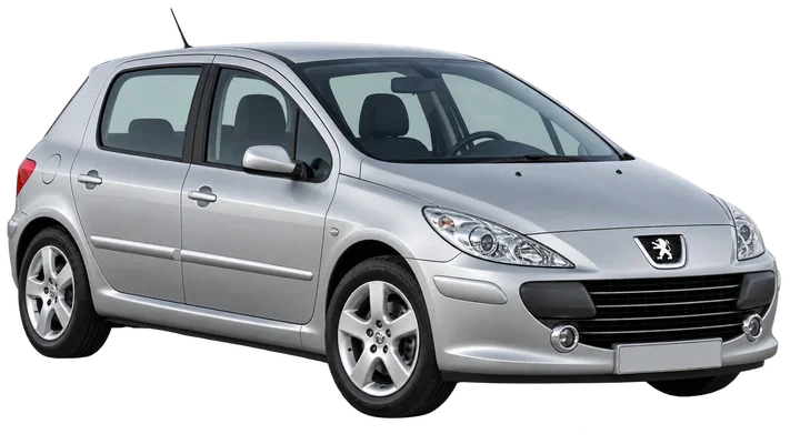 silver Peugeot 307 car