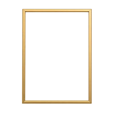 slim golden photo frame
