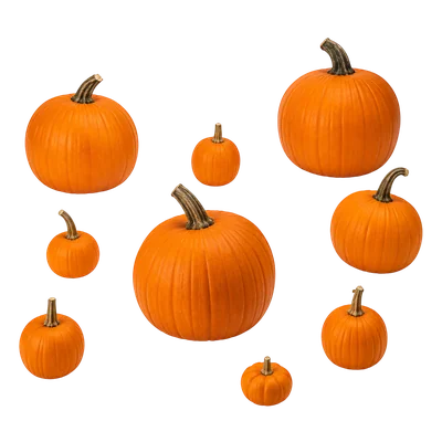 scattered pumpkins in field