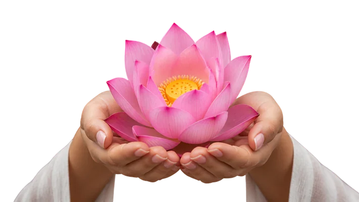girl holding pink lotus flower