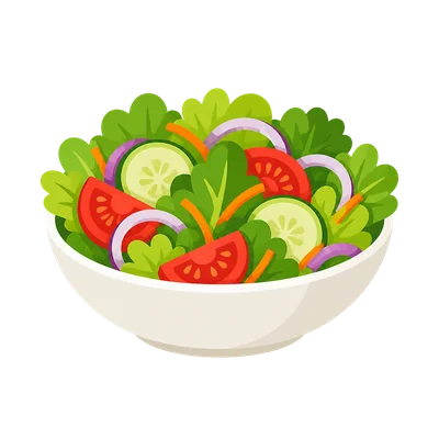 fresh salad food icon