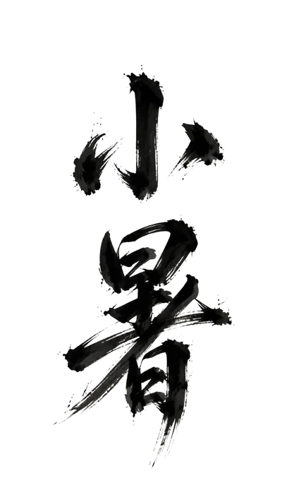 elegant chinese calligraphy xiaoshu in ink